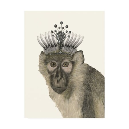 Trademark Fine Art Melissa Wang 'Majestic Monkey I' Canvas Art, 18x24 WAG10178-C1824GG